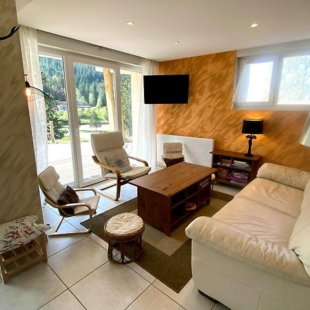 Aux Pieds Des Pistes 4/6 Personnes Apartment Gerardmer Luaran gambar